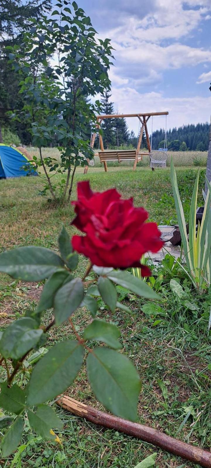 Eco Village Podgora Household Kaljevic Žabljak Zewnętrze zdjęcie